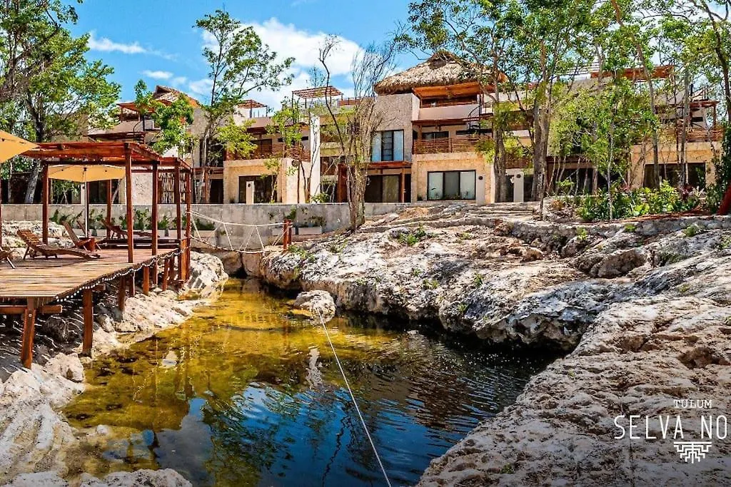 Private Rooftop Penthouse With Pool, Bbq & Jungle View Apartment Tulum Mexico