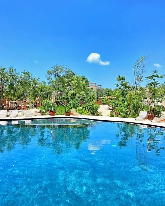 Private Rooftop Penthouse With Pool, Bbq & Jungle View Apartment Tulum
